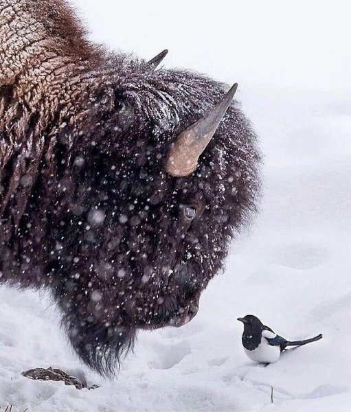 Краски жизни видное фото