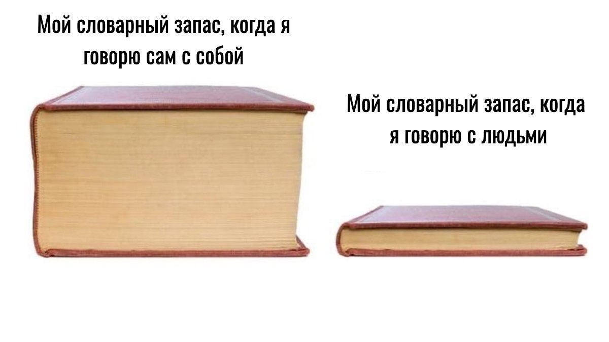 Книга для хорошего словарного запаса. Мой словарный запас Мем. Читает словарный запас. Мем "мой словарный запас когда нужно кого-то поддержать".