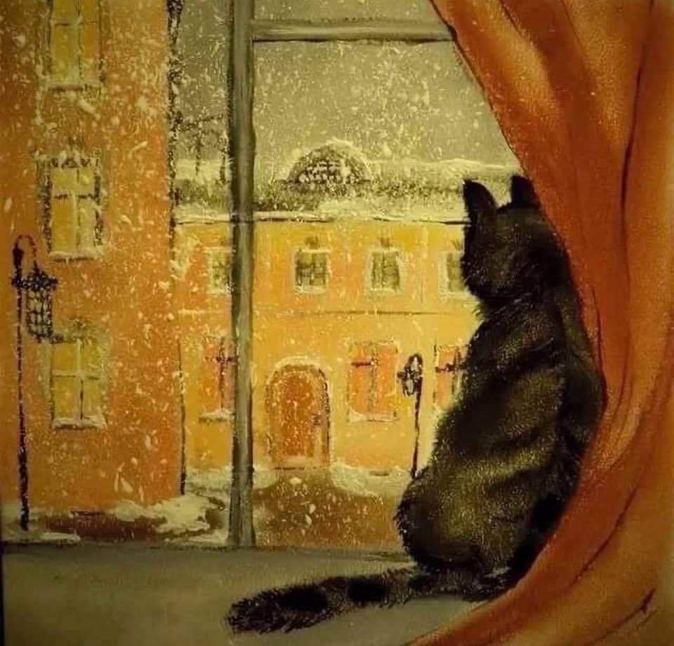 Кот у зимнего окна