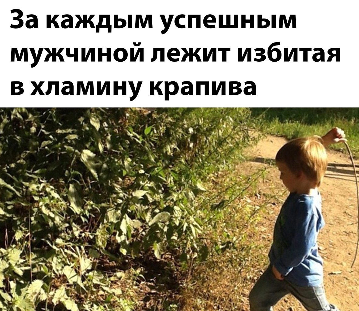Мемы про крапиву