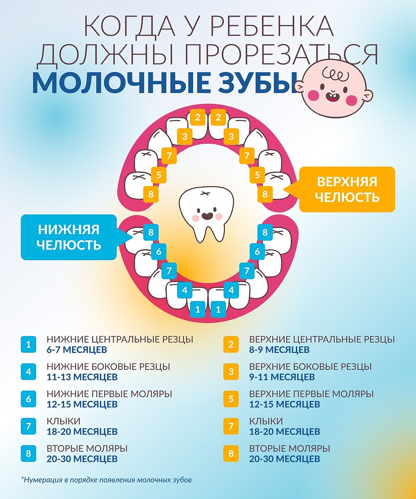 Порядок прорезывания зубов у детей схема до 2 лет