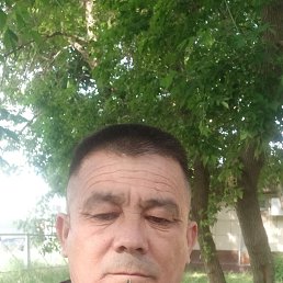 , 45 , 