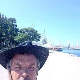 , 58 , 