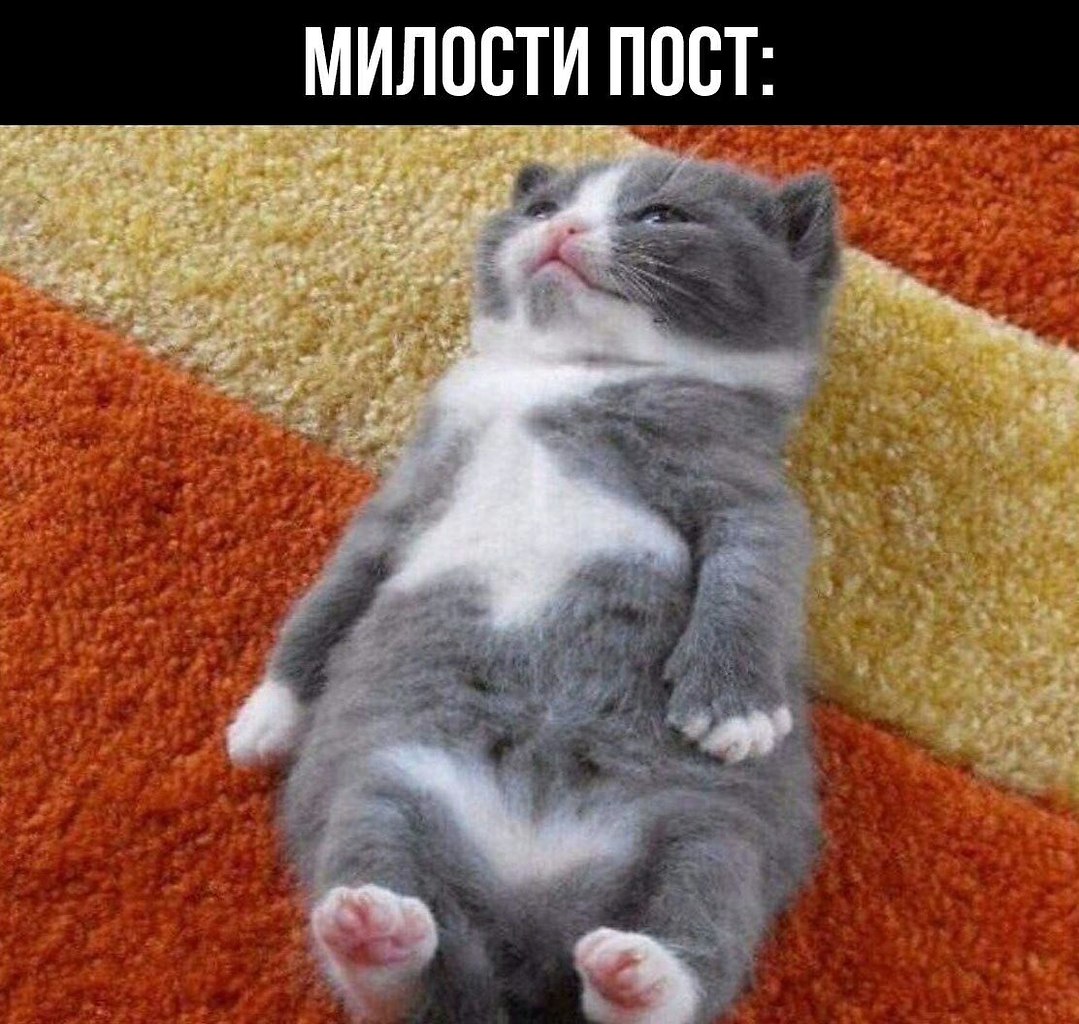 Эти забавные животные проект