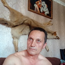 Владимир, 55 лет, Курск
