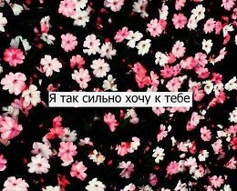 Женский клуб Фотостраны