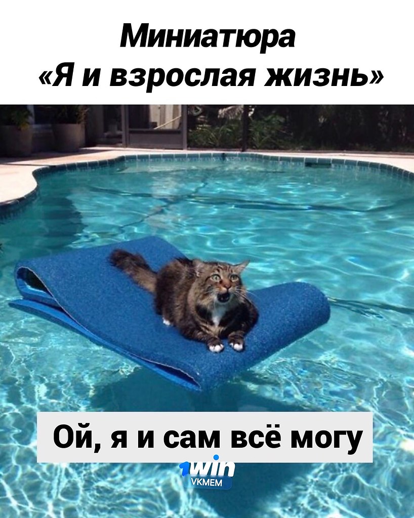 Моя самостоятельность: - Нечто большее, №2600749113 | Фотострана – cайт ...