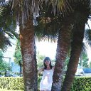  ,  , 42  -  19  2013    