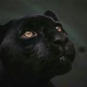 ���� ����, �����������, 27 ��� - ��������� 23 ���� 2013 � ������ ���� ����������