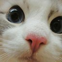 ���� Aska, ���� - ��������� 18 ���� 2013 � ������ ��������� ��������.�