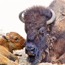 ���� �������, �������, 44 ���� - ��������� 19 ����� 2010