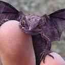 ���� ����, ������, 42 ���� - ��������� 16 ������� 2013 � ������ ���� ����������