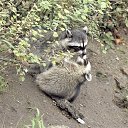 ���� �����, �����-���������, 57 ��� - ��������� 26 ������� 2010 � ������ �������