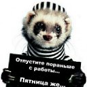 ���� �����, ���������, 59 ��� - ��������� 29 ������� 2012 � ������ ���� ����������