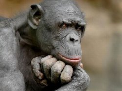 ���� ���, �����, 53 ���� - ��������� 29 �������� 2011