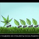 ���� ��������, �����-���������, 39 ��� - ��������� 29 ������� 2009 � ������ ������� �������� =)�