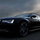���� ���, �����, 40 ��� - ��������� 16 ������� 2011 � ������ ���� ����������
