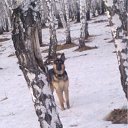 ���� �������, �������������, 51 ��� - ��������� 4 ������ 2012