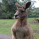 ���� �������, �����-���������, 45 ��� - ��������� 26 ��� 2012 � ������ ���� ����������