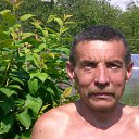 ���� ������, ��������, 62 ���� - ��������� 7 ������� 2012 � ������ ���� ����������