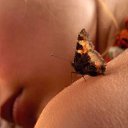 ���� ��������, �����������, 60 ��� - ��������� 3 ������ 2012 � ������ ���� ����������