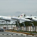  ,  -  25  2013   -,  !