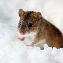 ���� �����, �����-���������, 25 ��� - ��������� 28 ��� 2011