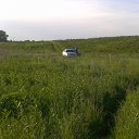 ���� �����, ������, 55 ��� - ��������� 7 ���� 2012 � ������ ���� ����������