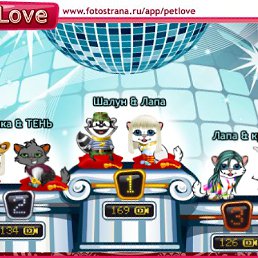 ���� ���������, �����, 44 ���� - ��������� 6 ������ 2011