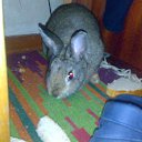 ���� �����, ��������, 40 ��� - ��������� 16 ������ 2011 � ������ ������ �����