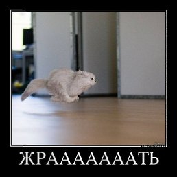 ���� ������ ��������, �����-���������, 45 ��� - ��������� 26 ������� 2012