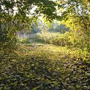 ���� ����, ������, 39 ��� - ��������� 6 ������ 2009