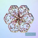 ���� �������, ������, 41 ��� - ��������� 9 ������� 2009 � ������ ���������