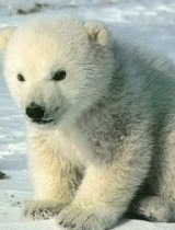 ���� ������, ������ ��������, 39 ��� - ��������� 21 ������� 2011