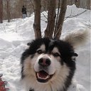 ���� ������, �������������-����������, 47 ��� - ��������� 26 ���� 2012 � ������ ���� ���:)�