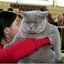 ���� ����� - ���������� ��������!!!, �����������, 56 ��� - ��������� 31 ������� 2009 � ������ �����Ȼ