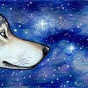 ���� ˸��, �������, 34 ���� - ��������� 21 ������� 2011 � ������ �goldenwolf�