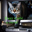  , -, 54  -  12  2010   