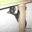 ���� ���������, ������ ��������, 46 ��� - ��������� 26 ������ 2009 � ������ ���� ��������: ��������