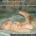 ���� ˸��, ����, 44 ���� - ��������� 26 ���� 2012 � ������ ������