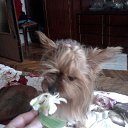 ���� ���, ������, 60 ��� - ��������� 24 �������� 2010 � ������ �� � �������� ��������