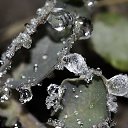 ���� �����, ������, 26 ��� - ��������� 11 �������� 2010 � ������ �����