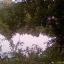 ���� ������, ������, 39 ��� - ��������� 26 ���� 2010