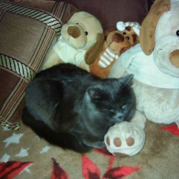 Santa V., �����, 55 ���