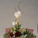 ���� �����, �����, 43 ���� - ��������� 3 ������ 2011 � ������ ��