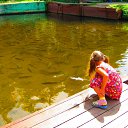 ���� �����, ������� �������� - ��������� 16 ������� 2011 � ������ ���� �����:�