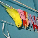 ���� ���, ���, 25 ��� - ��������� 14 ������ 2010 � ������ ���������