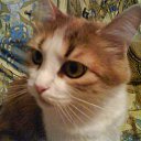 ���� ��������(����), ���������, 75 ��� - ��������� 2 ������� 2011 � ������ ���� ����������