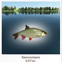 ���� � �������, �������, 52 ���� - ��������� 5 ������� 2011 � ������ ���� ����������