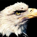 ���� ����, ������, 39 ��� - ��������� 8 ������ 2012